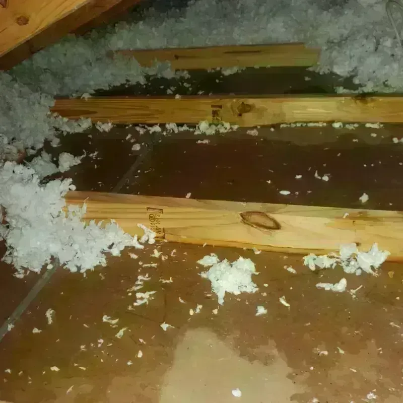 Attic Water Damage in Lockney, TX